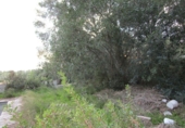 Finca rústica en venta en Tortosa ref: TR37212 foto