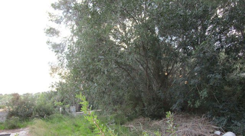 Tarragona - Tortosa - 113532m2