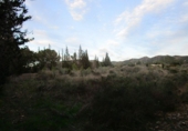 Finca rústica en venta en Tortosa ref: TR37212 foto