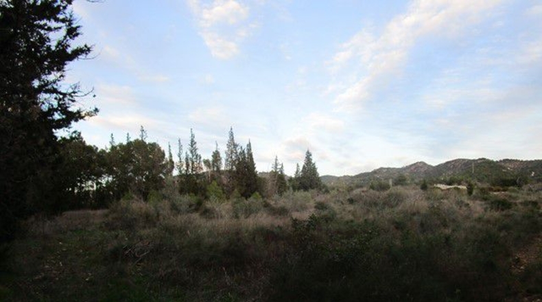 Tarragona - Tortosa - 113532m2