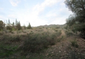 Finca rústica en venta en Tortosa ref: TR37212 foto