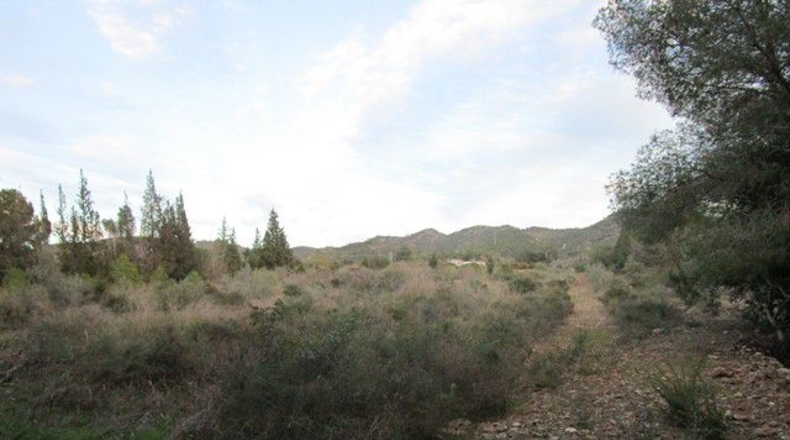 Tarragona - Tortosa - 113532m2