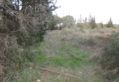Finca rústica en venta en Tortosa ref: TR37212 foto