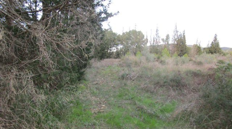 Tarragona - Tortosa - 113532m2