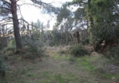 Finca rústica en venta en Tortosa ref: TR37212 foto
