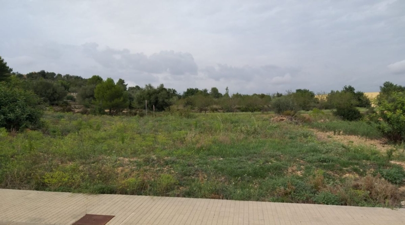Tarragona - el Perelló - 419m2