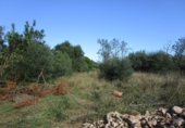 Terreno no urbanizable en venta en Aldover ref: TR36554 foto