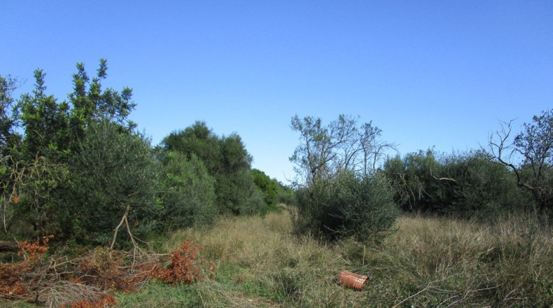 Tarragona - Aldover - 2190m2