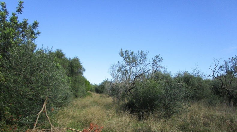 Tarragona - Aldover - 2190m2