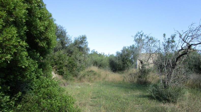 Tarragona - Aldover - 2190m2