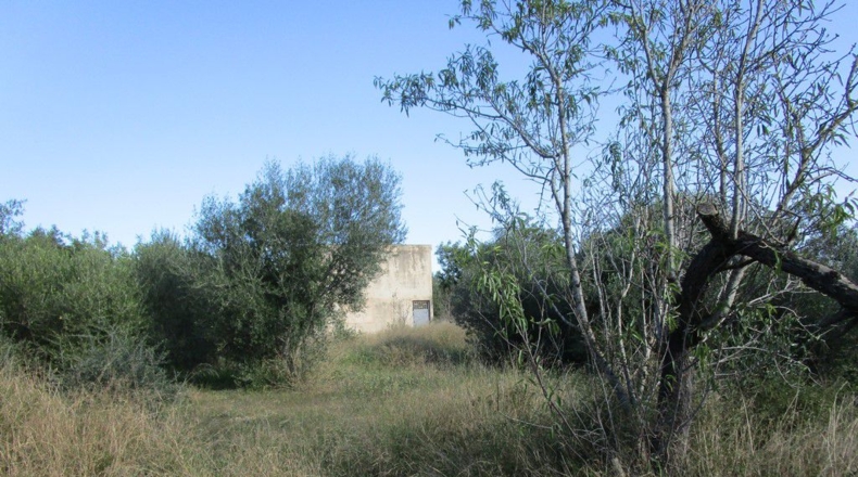 Tarragona - Aldover - 2190m2