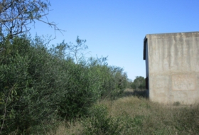 Foto 17