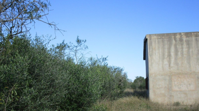 Tarragona - Aldover - 2190m2