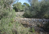 Terreno no urbanizable en venta en Tortosa ref: TR34701 foto