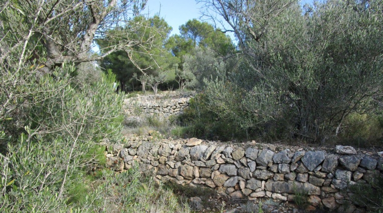 Tarragona - Tortosa - 19625m2