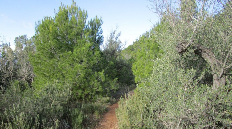 Tarragona - Tortosa - 19625m2