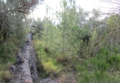 Terreno no urbanizable en venta en Tortosa ref: TR34701 foto