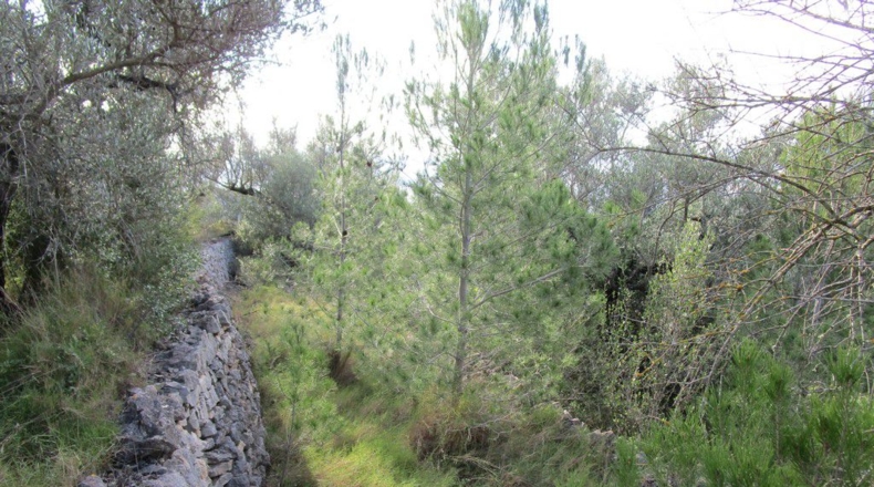 Tarragona - Tortosa - 19625m2