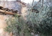 Terreno no urbanizable en venta en Tortosa ref: TR34701 foto