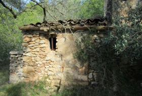 Foto 14