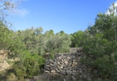 Terreno no urbanizable en venta en Tortosa ref: TR34701 foto