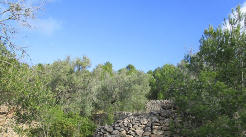 Tarragona - Tortosa - 19625m2