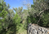 Terreno no urbanizable en venta en Tortosa ref: TR34701 foto