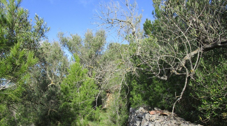 Tarragona - Tortosa - 19625m2