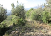 Terreno no urbanizable en venta en Tortosa ref: TR34701 foto