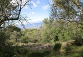 Terreno no urbanizable en venta en Tortosa ref: TR34701 foto