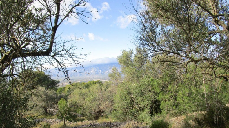 Tarragona - Tortosa - 19625m2