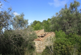 Foto 19