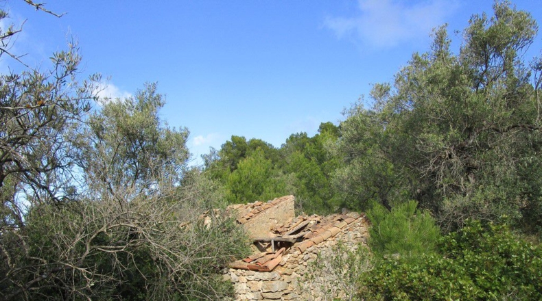 Tarragona - Tortosa - 19625m2