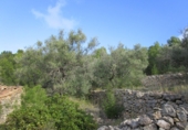 Terreno no urbanizable en venta en Tortosa ref: TR34701 foto