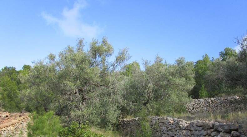 Tarragona - Tortosa - 19625m2