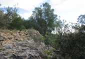 Terreno no urbanizable en venta en Tortosa ref: TR34701 foto