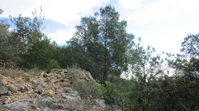 Tarragona - Tortosa - 19625m2