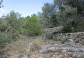 Terreno no urbanizable en venta en Tortosa ref: TR34701 foto