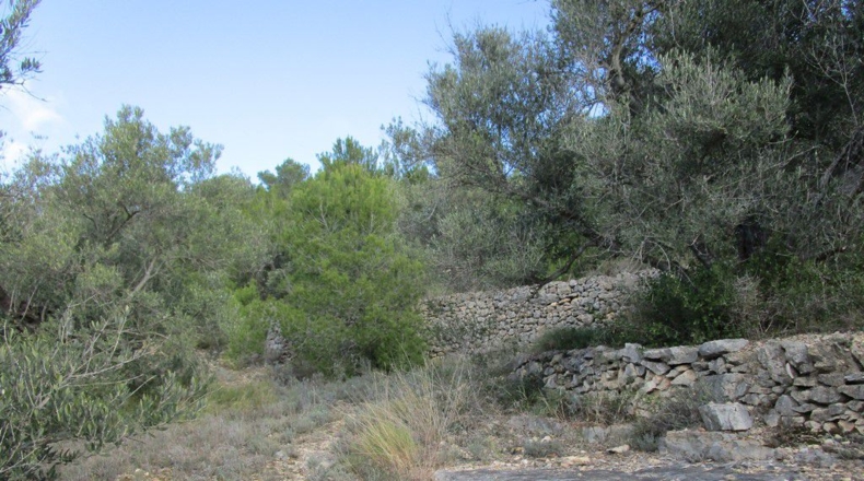 Tarragona - Tortosa - 19625m2