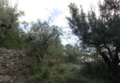 Terreno no urbanizable en venta en Tortosa ref: TR34701 foto
