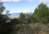 Terreno no urbanizable en venta en Tortosa ref: TR34701 foto