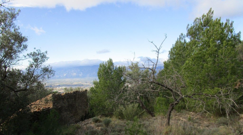 Tarragona - Tortosa - 19625m2