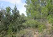 Terreno no urbanizable en venta en Tortosa ref: TR34701 foto