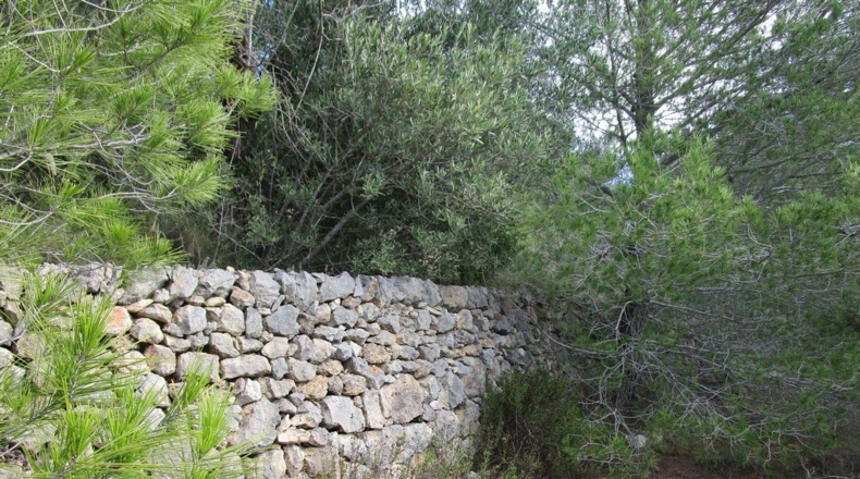 Tarragona - Tortosa - 19625m2