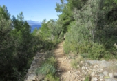Terreno no urbanizable en venta en Tortosa ref: TR34701 foto
