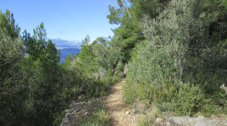 Tarragona - Tortosa - 19625m2