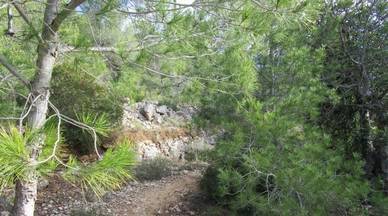 Tarragona - Tortosa - 19625m2