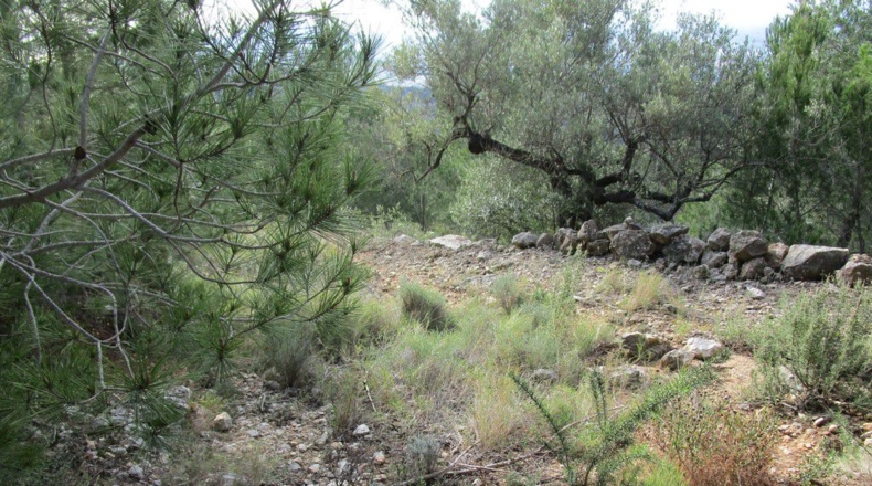 Tarragona - Tortosa - 19625m2