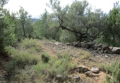 Terreno no urbanizable en venta en Tortosa ref: TR34701 foto