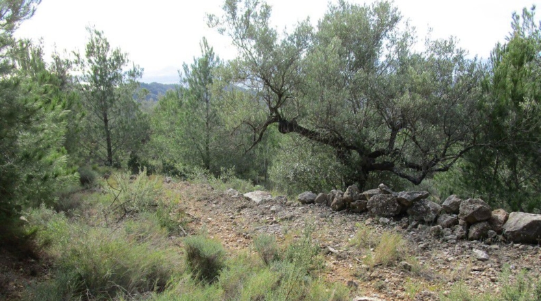 Tarragona - Tortosa - 19625m2
